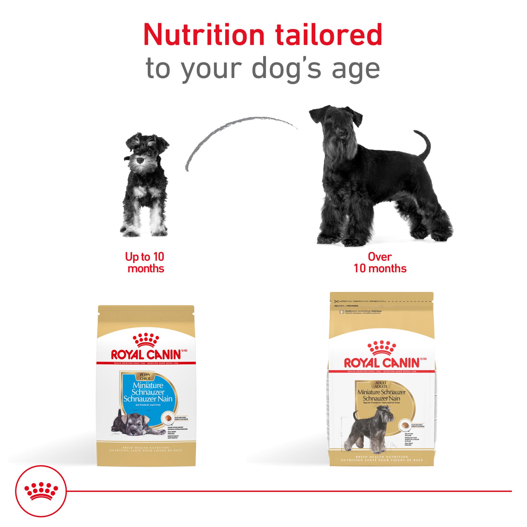 Royal Canin Miniature Schnauzer Puppy Food for Immune Support